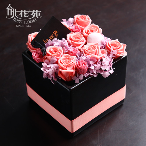 TF9370永生花(粉)